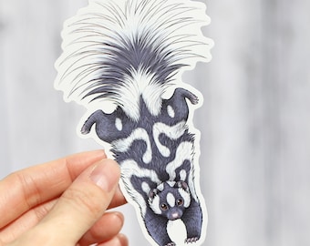 May include: A sticker featuring a skunk illustration. The skunk is depicted in a downward pose, showcasing its black and white fur pattern and fluffy tail. The skunk has brown eyes and is set against a white background.