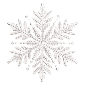 Könnte beinhalten: Ein detailliertes, weißes Schneeflocken-Design mit sechs symmetrischen Spitzen. Jede Spitze weist komplizierte, federartige Muster und kleine, gepunktete Details auf, die ein zartes, strukturiertes Aussehen erzeugen. Die Schneeflocke ist vor einem sauberen, weißen Hintergrund platziert.
