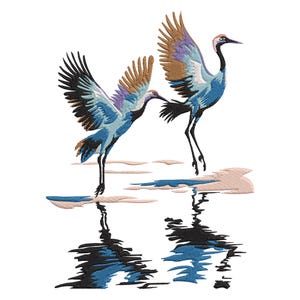 May include: Two blue and purple cranes with brown wings stand on a sandy surface with their reflections in the water below.