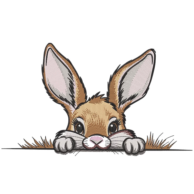 May include: A brown and white rabbit with pink ears peeks over a white surface. The rabbit has large, dark eyes and a small pink nose.