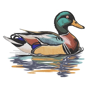 May include: A mallard duck with green, blue, brown, and white feathers is swimming in a blue and green pond. The duck has a long, orange beak.