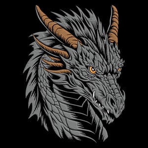 Puede incluir: Una ilustración detallada de la cabeza de un dragón con una textura escamosa gris y negra. El dragón tiene un hocico largo y puntiagudo con dientes afilados y un solo ojo naranja.