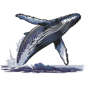 Pode incluir: Uma baleia jubarte azul e cinza saltando para fora da água, com um respingo de água atrás dela. A baleia está em posição vertical, com a cauda no ar.