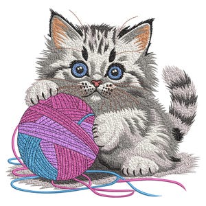 Może przedstawiać: Szare i białe kocię z niebieskimi oczami bawi się różową i niebieską kulką włóczki.