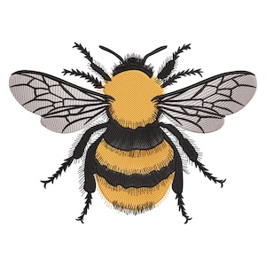 May include: A black and yellow bumblebee with transparent wings. The bumblebee is embroidered with black and yellow thread.
