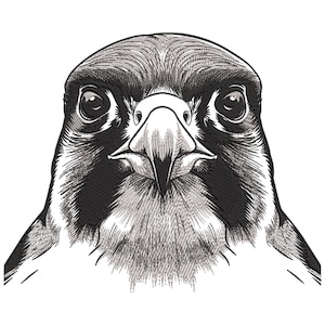 Falcon Face Embroidery Design, Peregrine Falcon Machine Embroidery File, Eagle Machine Embroidery File