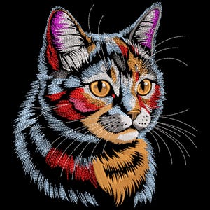 May include: Embroidered cat portrait with a black background. The cat features a detailed design with orange, red, blue, and white thread. The cat's eyes are a golden yellow, and the fur is intricately stitched.