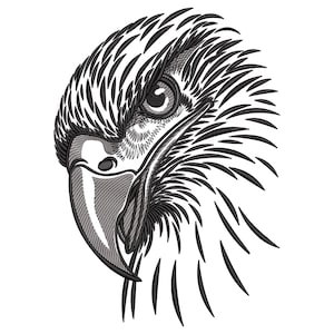 Op de afbeelding: Een zwart-witte lijntekening van een adelaarskop met een scherpe snavel en intense ogen.