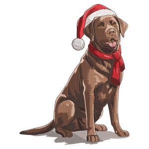 Könnte beinhalten: Ein brauner Labrador Retriever mit einer rot-weißen Weihnachtsmütze und einem roten Schal. Der Hund sitzt und schaut nach vorne, mit leicht geöffnetem Mund. Das Bild hat ein festliches, weihnachtliches Thema.
