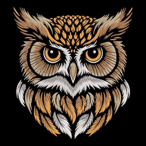 May include: Embroidered owl design with brown and orange feathers. The owl has large, round eyes with black pupils and yellow irises.