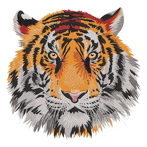 Könnte beinhalten: Nahaufnahme eines Tigergesichts mit orangefarbenen, schwarzen und weißen Streifen. Der Tiger hat einen grimmigen Ausdruck mit scharfen Zähnen und durchdringenden Augen.