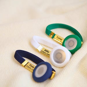 Personalisiertes Haustier Airtag Halsband mit Namen / ID Tag - Personalisiertes Graviertes Hundehalsband mit Airtag Inhaber