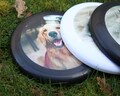 Custom Dog Photo Disc Golf Disc- Personalized Pet Flying Disc with Name, Beach Sport Game, Pet Photo Gifts, Cat Birthday, Pet Owner Gift