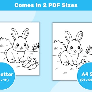 May include: Two black and white illustrations of a cartoon bunny with carrots, set against a grassy background. The text "Comes in 2 PDF Sizes" is at the top. One image is labeled "US Letter (8.5 x 11")" and the other is labeled "A4 Size (21 x 29.7 cm)".