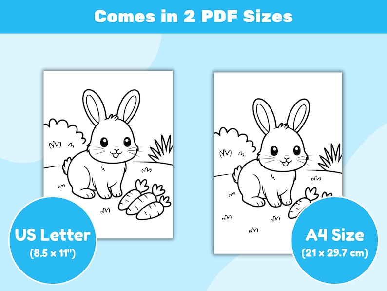 May include: Two black and white illustrations of a cartoon bunny with carrots, set against a grassy background. The text "Comes in 2 PDF Sizes" is at the top. One image is labeled "US Letter (8.5 x 11")" and the other is labeled "A4 Size (21 x 29.7 cm)".