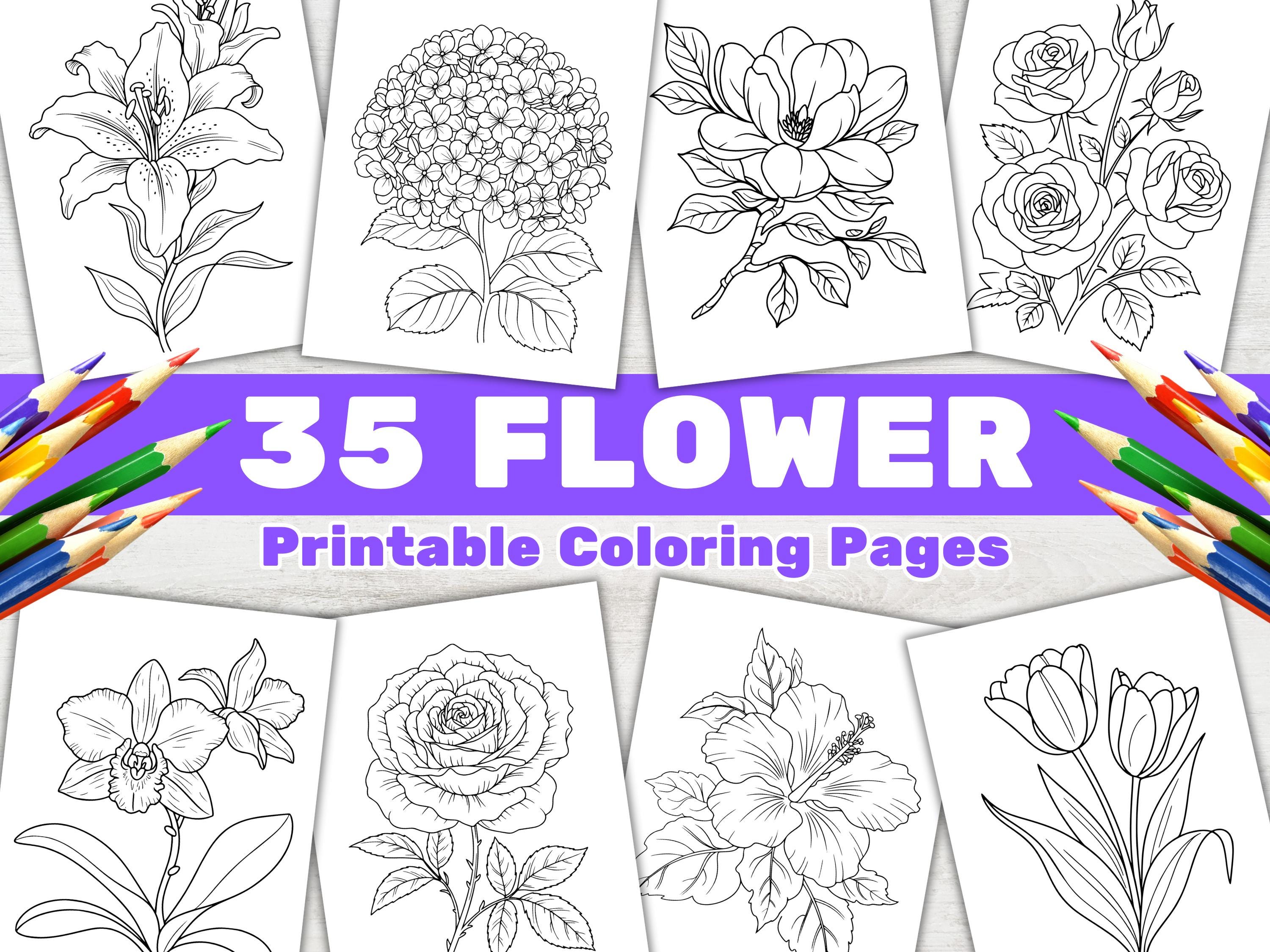 Livro de colorir de flores para adultos – 35 páginas botânicas e florais imprimíveis para aliviar o estresse, iPad e Procreate