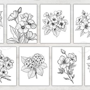 K&ouml;nnte beinhalten: Eine Sammlung von acht schwarz-wei&szlig;en Blumenillustrationen. Jedes Bild zeigt eine andere Blumenanordnung, darunter Sonnenblumen, Mohnblumen und Hibiskus. Die Zeichnungen sind detailliert und eignen sich zum Ausmalen oder f&uuml;r dekorative Zwecke.