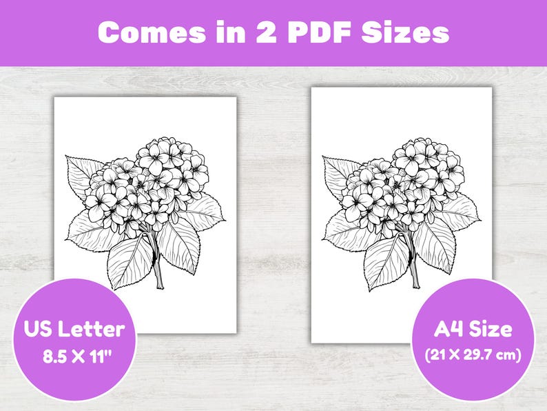 K&ouml;nnte beinhalten: Zwei schwarz-wei&szlig;e Hortensienblumenzeichnungen auf wei&szlig;em Papier. Das Bild enth&auml;lt den Text "Comes in 2 PDF Sizes", "US Letter 8.5 X 11"" und "A4 Size (21 X 29.7 cm)" in lila Kreisen.