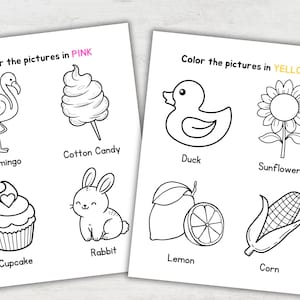 May include: Two coloring pages with black and white illustrations of various objects. One page says "Color the pictures in PINK" and features a flamingo, cotton candy, cupcake, and rabbit. The other page says "Color the pictures in YELLOW" and features a duck, sunflower, lemon, and corn.