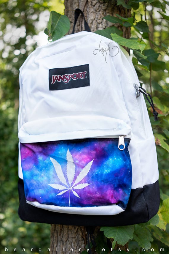 jansport turtle backpack