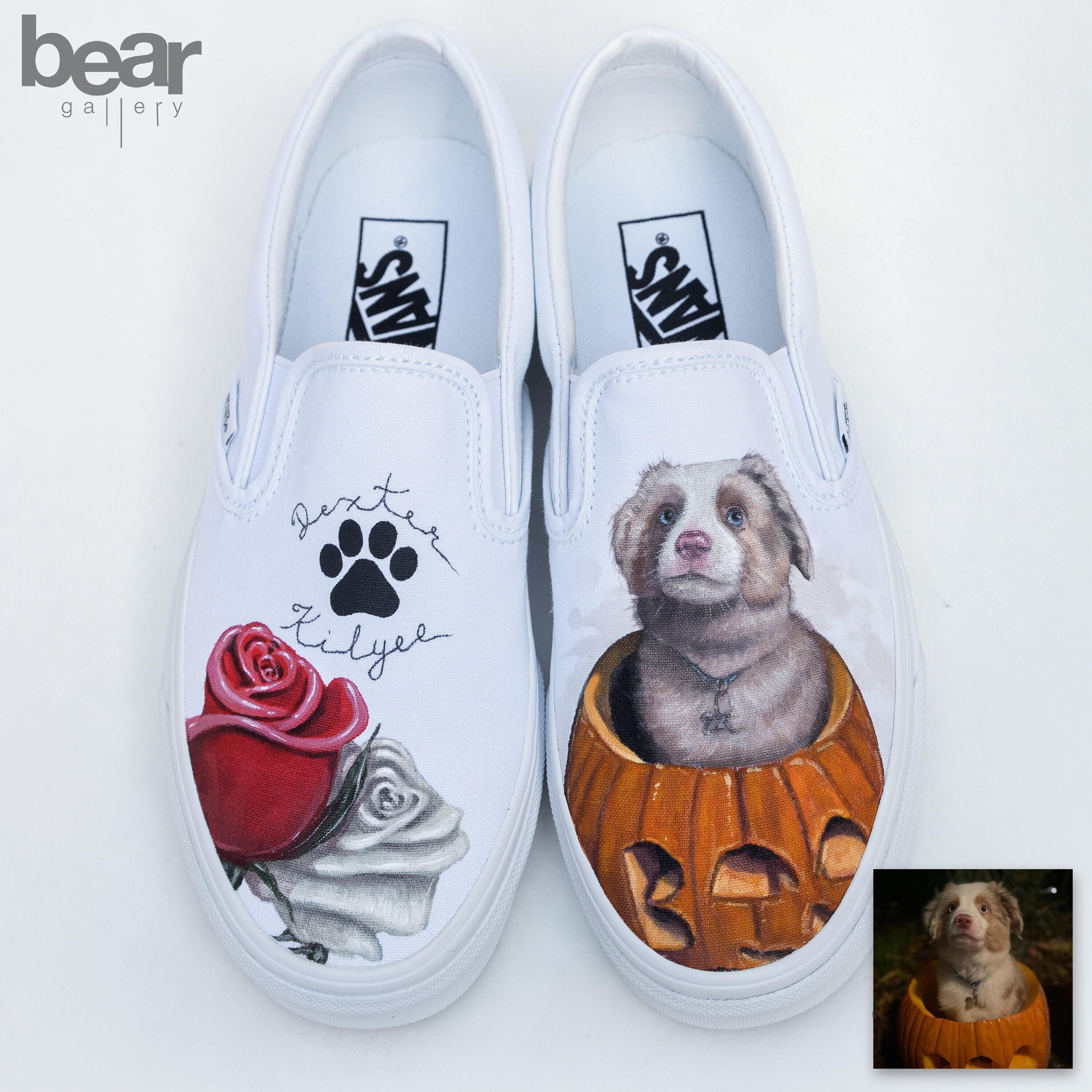 vans pet shoes