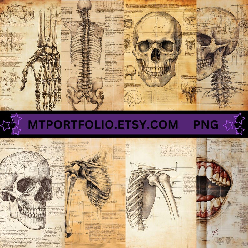Peut inclure: Illustrations anatomiques vintage d'un squelette humain, comprenant le cr&acirc;ne, la colonne vert&eacute;brale, la cage thoracique et la main. Les illustrations sont en noir et blanc et ont un aspect d&eacute;lav&eacute; et antique. L'image comprend &eacute;galement le texte "MTPORTFOLIO.ETSY.COM PNG".