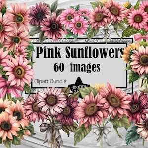 Girassol Rosa Clipart Arranjo de Flores PNG Pacote PNG Gráficos Transparentes Uso Comercial Download Digital Sublimação Diário