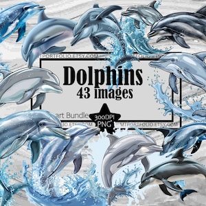 Dauphin, grand dauphin, PNG, téléchargement numérique, marsouin, PNG, clipart, dauphin, tshirt, clipart, mammifère aquatique, PNG