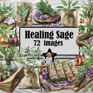 Cura Sage Clipart Cura Mística PNG Pacote de Medicina Herbal PNG Gráfico Transparente Uso Comercial Download Digital Sublimação Diário