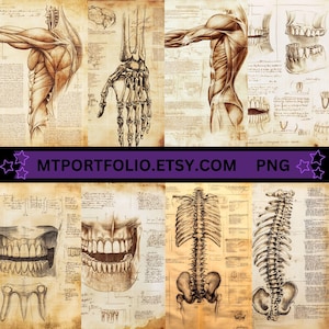 Peut inclure: Un collage d'illustrations anatomiques vintage repr&eacute;sentant le squelette humain, les muscles et les dents. Les images sont imprim&eacute;es sur du papier vieilli avec une teinte jaun&acirc;tre et des notes manuscrites.