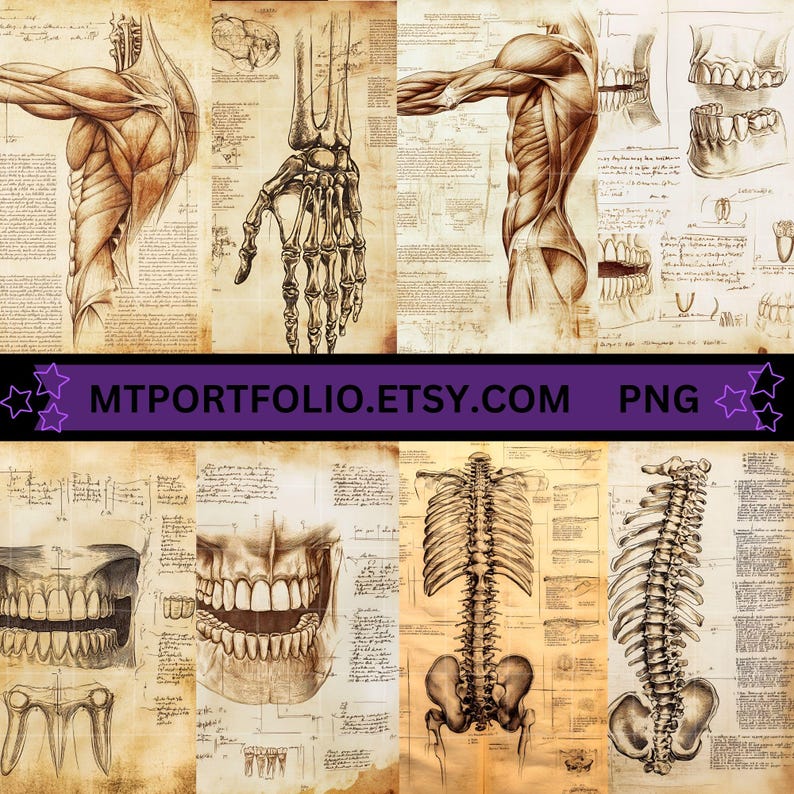 Peut inclure: Un collage d'illustrations anatomiques vintage repr&eacute;sentant le squelette humain, les muscles et les dents. Les images sont imprim&eacute;es sur du papier vieilli avec une teinte jaun&acirc;tre et des notes manuscrites.