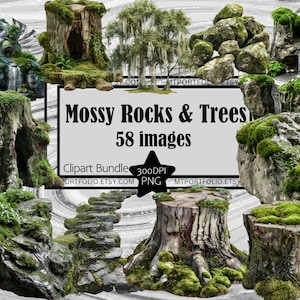 Rocas cubiertas de musgo PNG, tocones de árboles, imágenes prediseñadas de musgo español, gráfico, transparente, comercial, descarga digital, sublimación, diario basura, bosque, cascada