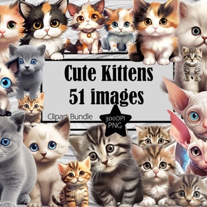 Cute Kittens Clipart Cat Lover PNG Graphics Transparent Commercial Use Digital Download Kitten Sublimation TShirt Clipart Junk Journal