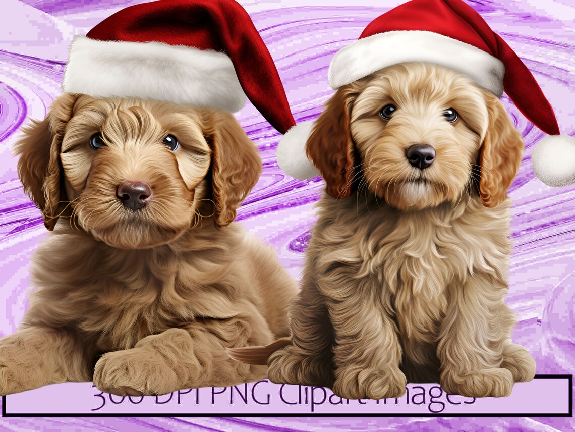 Labradoodle Doodle Red Santa Hat Christmas Graphics Dog Mom Art ...