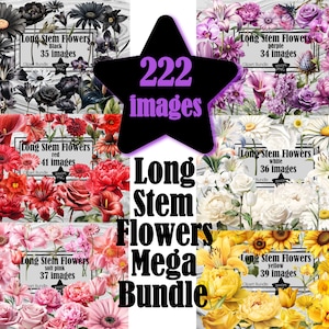 Mega Flower PNG Long Stem Rose Clipart Flowers PNG Bundle Graphics Transparent Commercial Use Digital Download Sublimation Junk Journal