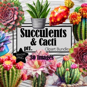 Kaktus PNG Clipart Sukkulenten Wüstenpflanzen Tumbleweed Grafiken Transparent Kommerzielle Nutzung Digital Download Sublimation Junk Journal