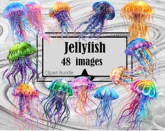 Jellyfish Clipart Rainbow Jellyfish PNG Bundle PNG Graphics Transparent Commercial Use Digital Download Sublimation Journal  PNG