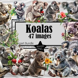 Koala Bear Clipart Marsupiale PNG Download digitale Koala PNG Clipart Bundle Eucalyptus Eater TShirt Clipart Bundle Fluffy Bear PNG