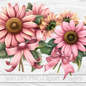 K&ouml;nnte beinhalten: Ein Strau&szlig; rosa Sonnenblumen mit gr&uuml;nen Bl&auml;ttern und rosa Schleifen. Die Sonnenblumen haben einen gelben Kern und sind in einer Traube angeordnet. Der Hintergrund ist eine wei&szlig;e Holzmaserung.
