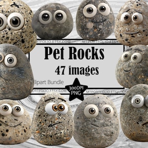 Pet Rock Clipart Retro 70er Jahre Spielzeug PNG Googly Eyes Gag Geschenk Bundle PNG Grafiken Transparent Kommerzielle Nutzung Digital Download Sublimation TShirt