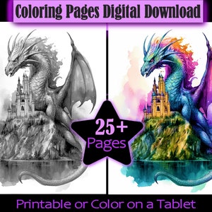 Fantasy Dragons Medieval Creatures - 25 Adult Coloring Pages - ready to print Instant Download PDF