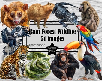 Rainforest Wildlife Clipart Leopard Clipart PNG Bundle Capybara Clipart Lemur Graphic Art Transparent Commercial Digital Sublimation Journal