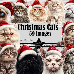 Weihnachten Katze Clipart Rote Weihnachtsmannmütze Weihnachten Grafiken Katzendame Kunst Sublimation Bundle Junk Journal Sammelalbum PNG Datei Transparent Download