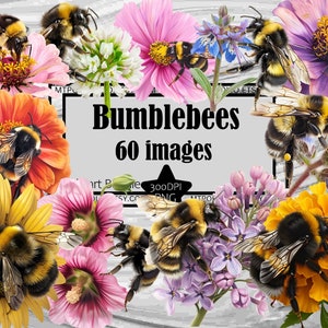 BumbleBees PNG Wild Flower Graphics Transparent Commercial Use ~Digital Download Sublimation Junk Journal Save the Bees Clipart