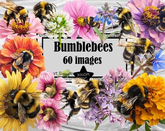 BumbleBees PNG Wild Flower Graphics Transparent Commercial Use ~Digital Download Sublimation Junk Journal Save the Bees Clipart