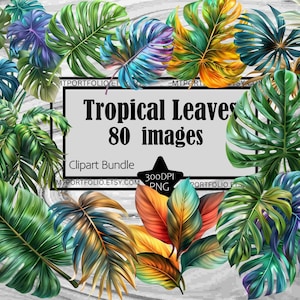 Tropisches Blatt Clipart Tropischer Regenwald Blätter Clip Art Palme Blatt Bündel PNG Grafik Transparent kommerzieller digitaler Download Wandkunst