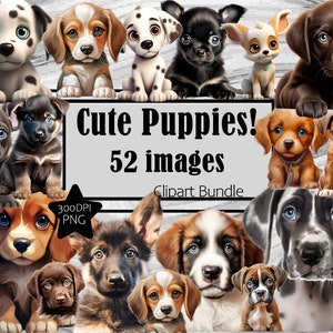 Cute Puppies Clipart Dog Lover PNG Graphics Transparent Commercial Use Digital Download Puppies Sublimation TShirt Clipart Junk Journal
