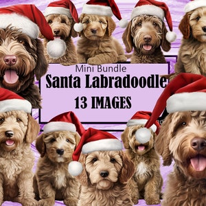 Labradoodle Doodle Rot Weihnachtsmütze Weihnachten Grafiken Hund Mama Kunst Sublimations Bundle Junk Journal Sammelalbum PNG Datei Transparent Download