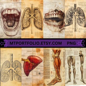 Peut inclure: Illustrations anatomiques vintage du corps humain, y compris les poumons, le c&oelig;ur, les dents et les jambes. Les illustrations sont en noir et blanc et ont un aspect d&eacute;lav&eacute; et antique.