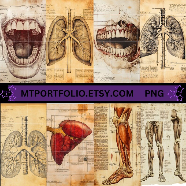Peut inclure: Illustrations anatomiques vintage du corps humain, y compris les poumons, le c&oelig;ur, les dents et les jambes. Les illustrations sont en noir et blanc et ont un aspect d&eacute;lav&eacute; et antique.